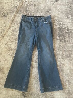 torrid Dark Blue Flared Jeans